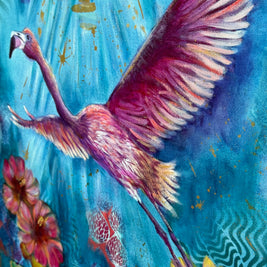 Freedom To Soar